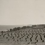 1939 - Kartanon heinäpeltoja