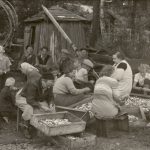 1937 - Silakkatalkoot